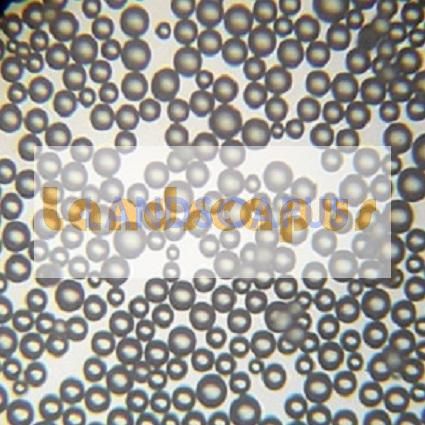 Landscapus 190 Lux plus 9 Landscapus 190 Lux plus 9